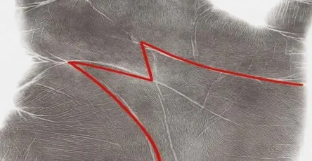 La signification cachee du m dans votre paume ce quil revele chez vous 1200x630.jpg