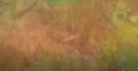 Le premier animal que vous verrez sur cette image vous revelera la personne dont vous avez besoin dans votre vie.jpg