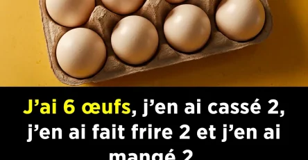 Lenigme de loeuf un piege mental.jpg