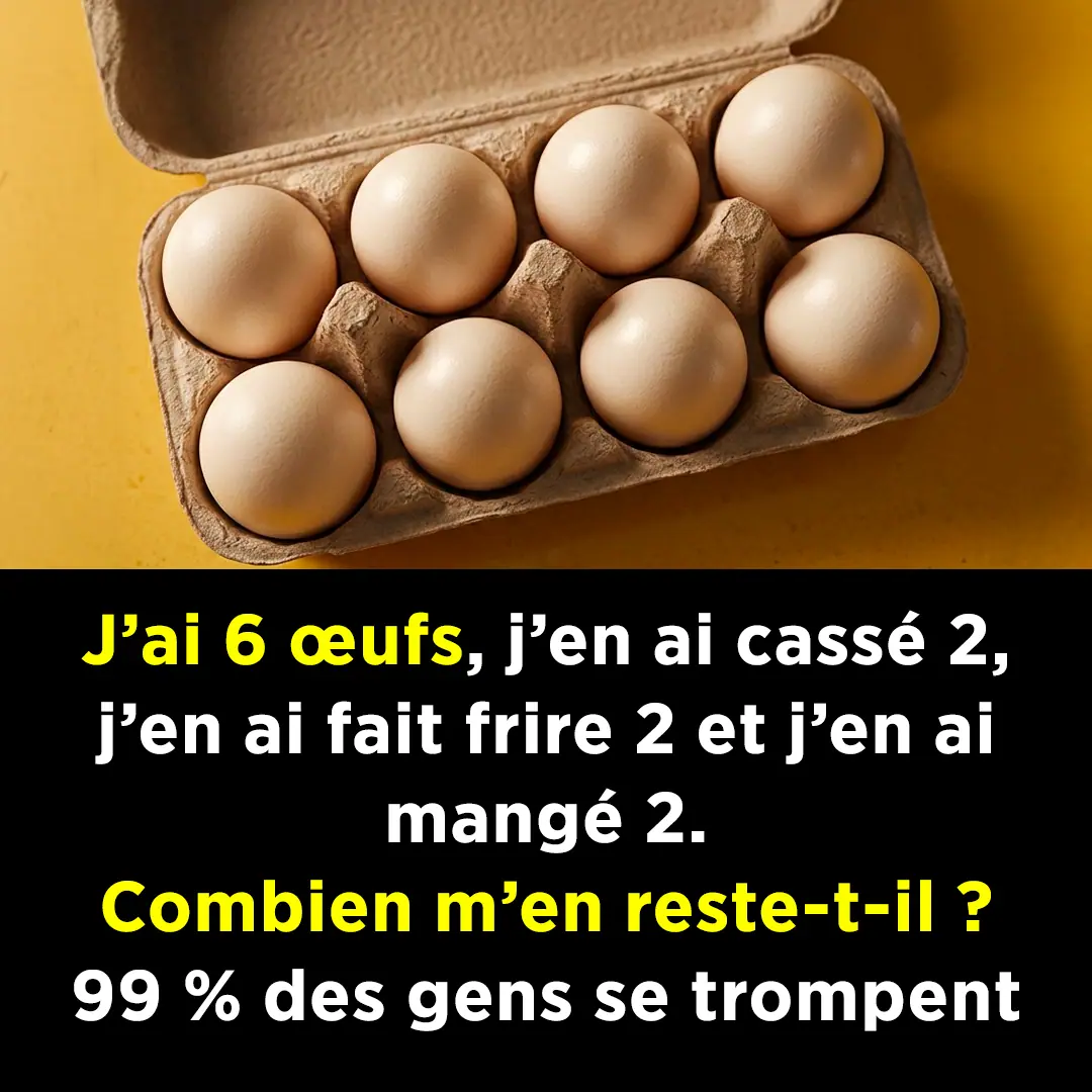 Lenigme de loeuf un piege mental.jpg