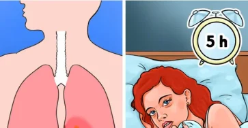 Lhorloge biologique chinoise explique pourquoi nous nous reveillons la nuit et comment y remedier.jpg