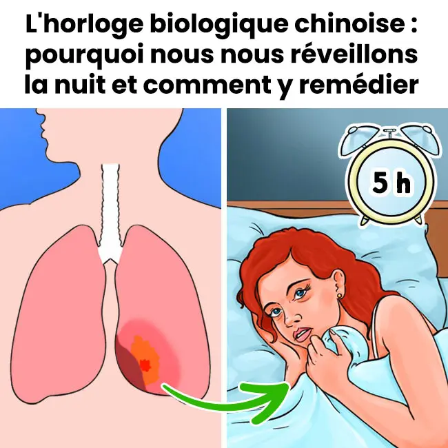 Lhorloge biologique chinoise explique pourquoi nous nous reveillons la nuit et comment y remedier.jpg