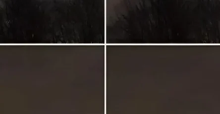 Mon frere a pris cette photo a seulement 21 km de chez nous avezvous une idee de ce que cest.jpg