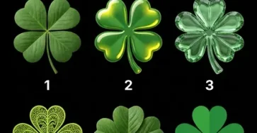 Ne trichez pas choisissez lintrus pour voir a quel point vous etes vraiment chanceux.jpg