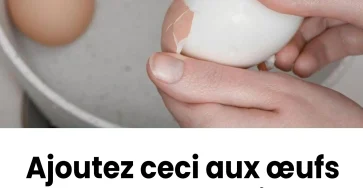 Plongez les dans leau ou les oeufs bouillent la coquille se detachera presque toute seule.jpg
