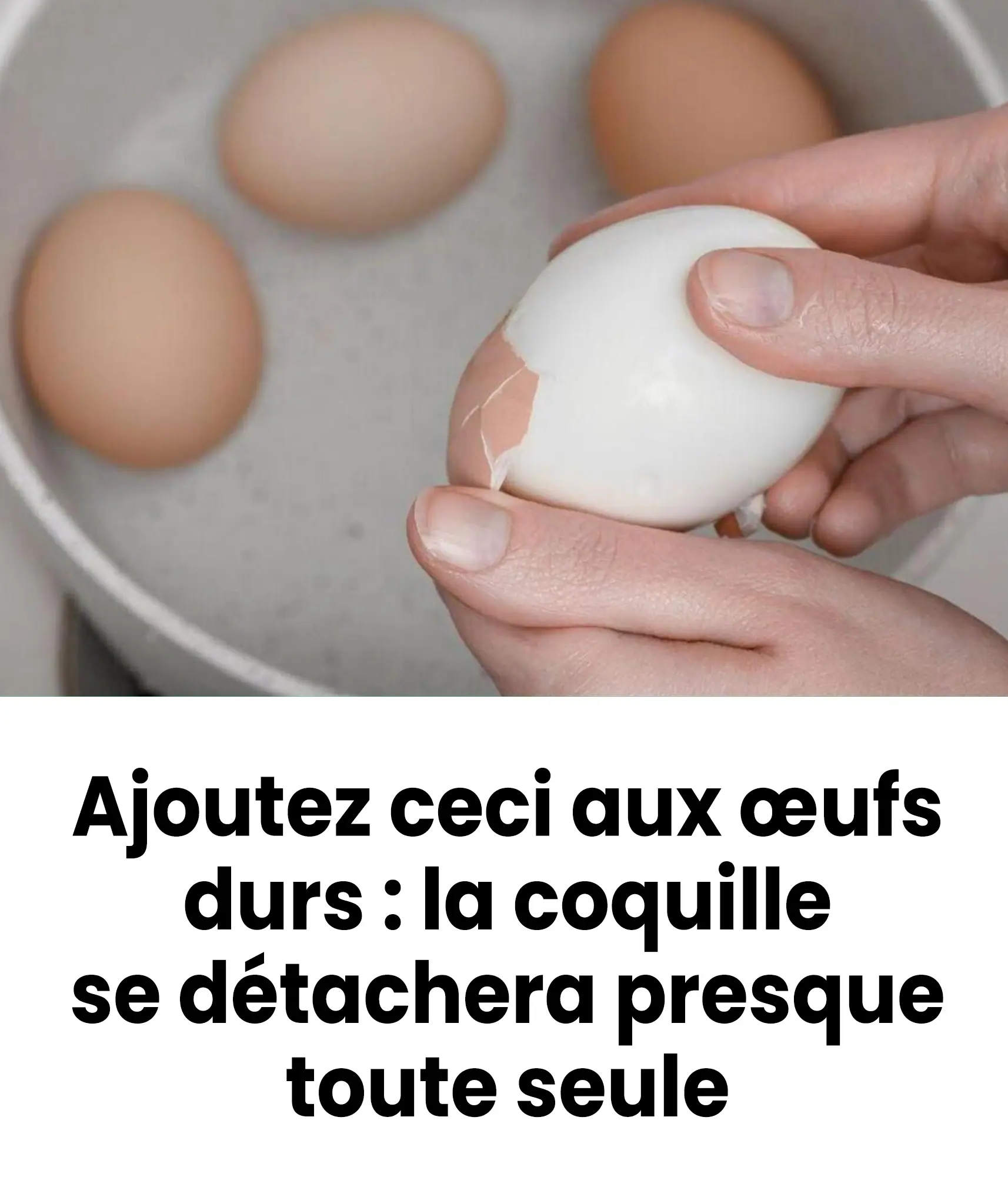 Plongez les dans leau ou les oeufs bouillent la coquille se detachera presque toute seule.jpg