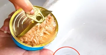 Pourquoi il ne faut plus jeter lhuile des boites de thon dans levier de la cuisine 1024x1024.jpg