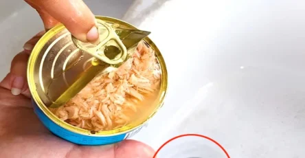 Pourquoi il ne faut plus jeter lhuile des boites de thon dans levier de la cuisine 1024x1024.jpg