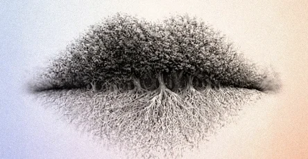 Que voyez vous en premier cette illusion doptique revele vos traits de personnalite les plus profonds.jpg