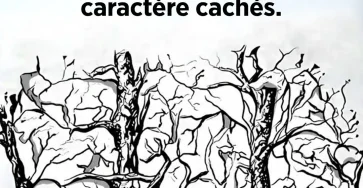 Quel animal attire votre regard en premier la reponse revelera des secrets surprenants sur votre personnalite.jpg