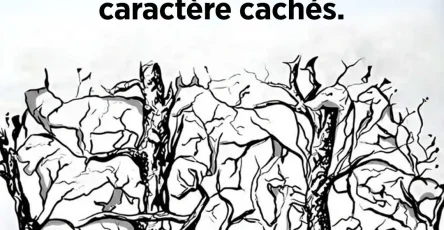 Quel animal attire votre regard en premier la reponse revelera des secrets surprenants sur votre personnalite.jpg