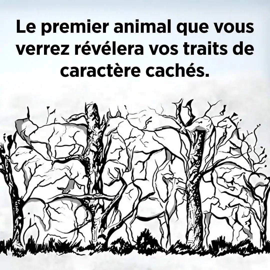 Quel animal attire votre regard en premier la reponse revelera des secrets surprenants sur votre personnalite.jpg
