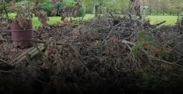 Saurez vous reperer le chien cache seules les personnes dotees dune vue percante le pourront.jpg