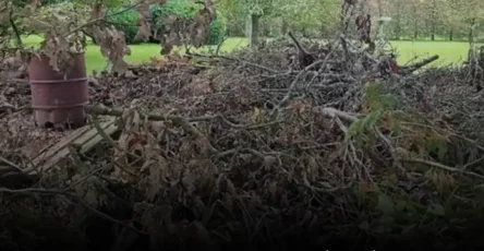 Saurez vous reperer le chien cache seules les personnes dotees dune vue percante le pourront.jpg