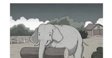 Saurez vous trouver le cheval cache relevez ce defi extreme en 7 secondes.jpg