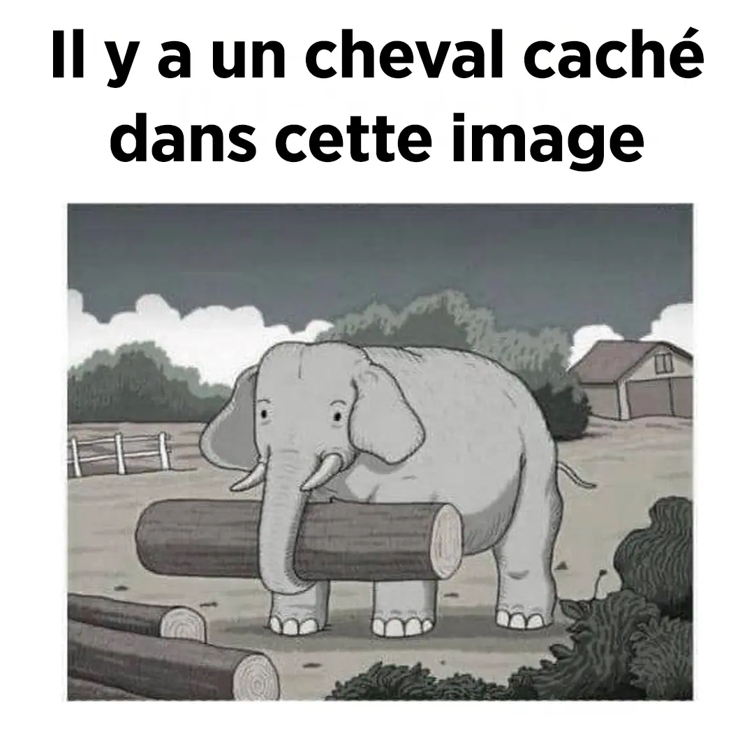 Saurez vous trouver le cheval cache relevez ce defi extreme en 7 secondes.jpg