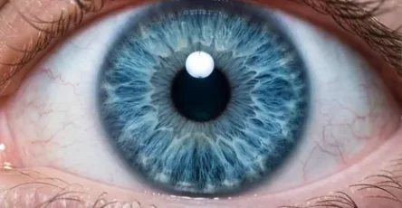 Tous les gens aux yeux bleus ont ceci en commun.jpg