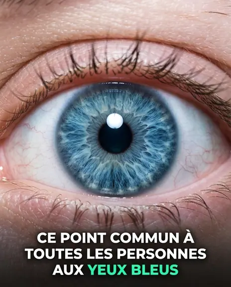 Tous les gens aux yeux bleus ont ceci en commun.jpg