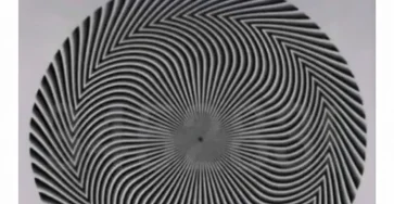 Une illusion doptique revele un nombre cache et chacun le percoit differemment.jpg