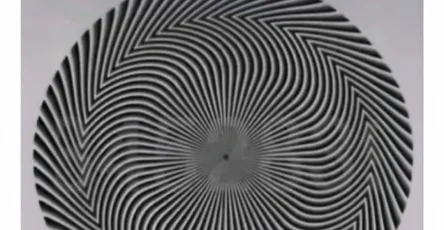 Une illusion doptique revele un nombre cache et chacun le percoit differemment.jpg