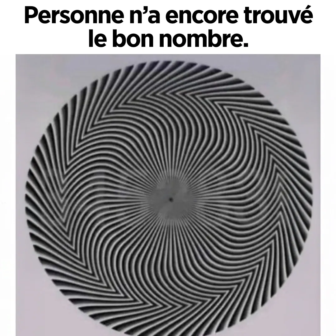 Une illusion doptique revele un nombre cache et chacun le percoit differemment.jpg