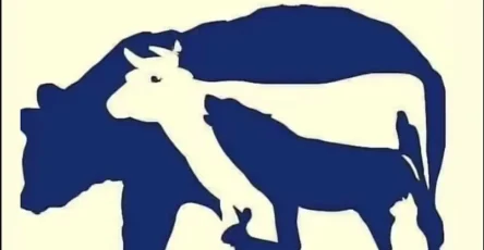 Vous auriez un oeil de lynx si vous pouviez reperer tous les animaux sur cette image.jpg