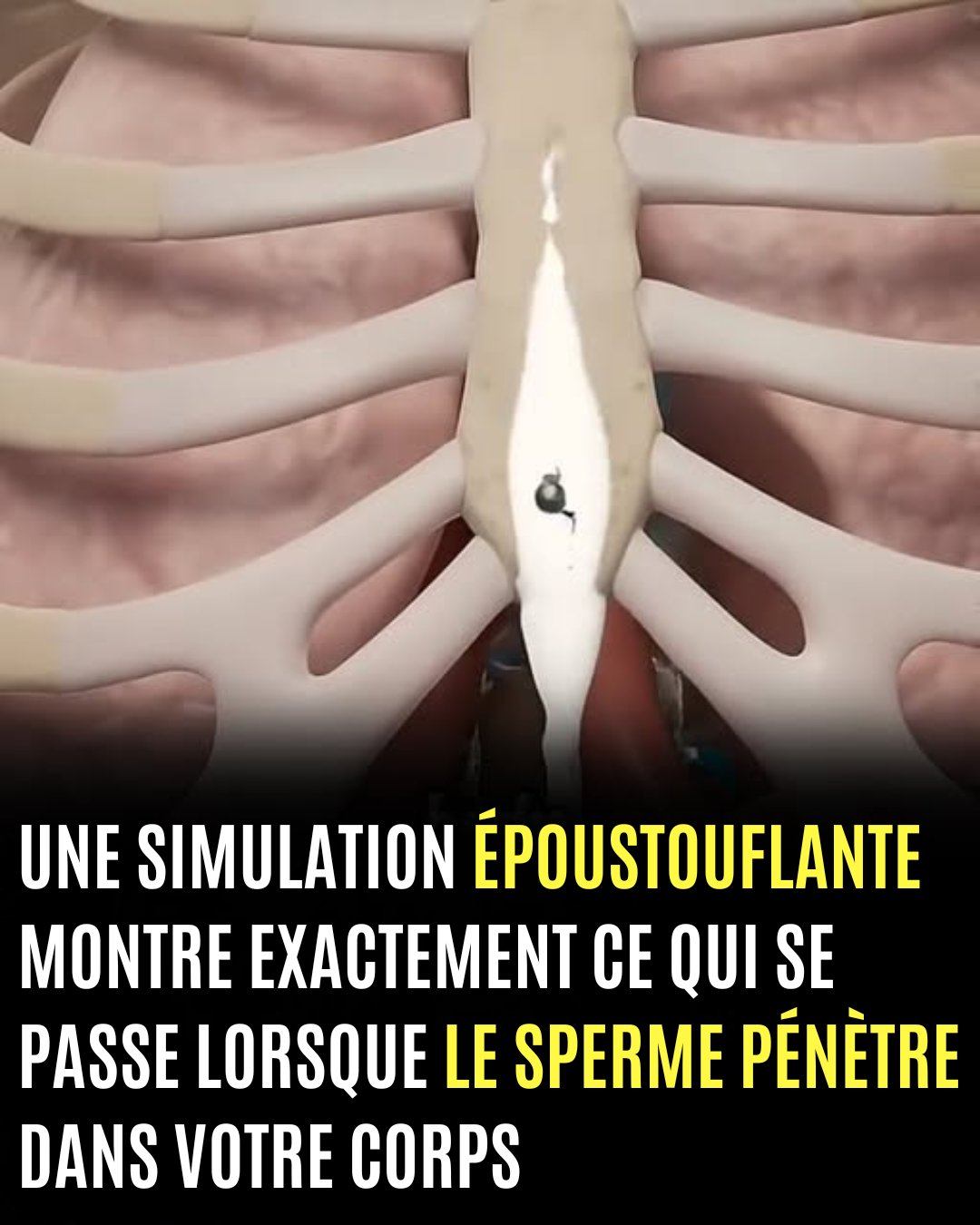 662658887 122289174626220056 8778060801754983010 n