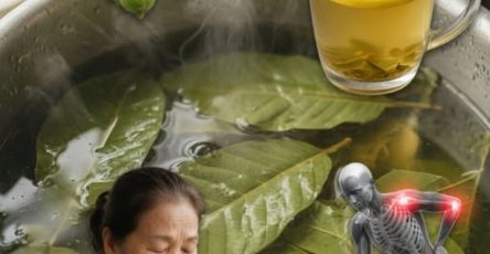 670619180 122135169177078200 6522403304g65241862 ndw