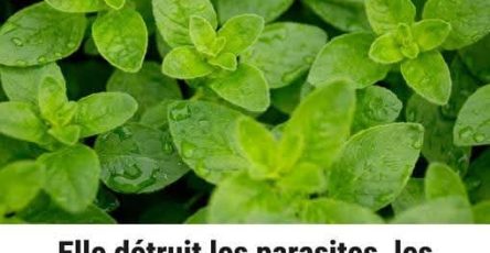 WhatsApp Image 2026 03 26 at 11.18.40 PM