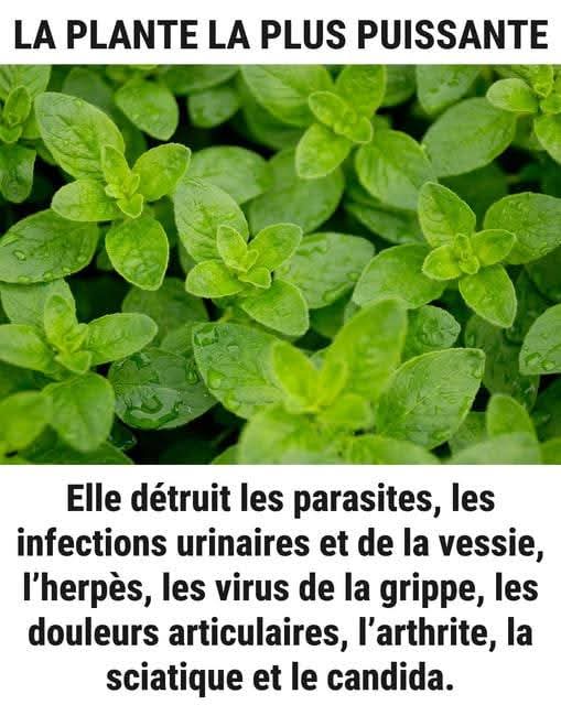 WhatsApp Image 2026 03 26 at 11.18.40 PM