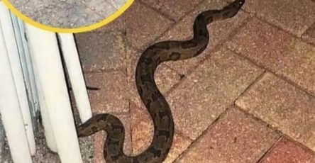 WhatsApp Image 2026 04 06 at 10.42.49 AM