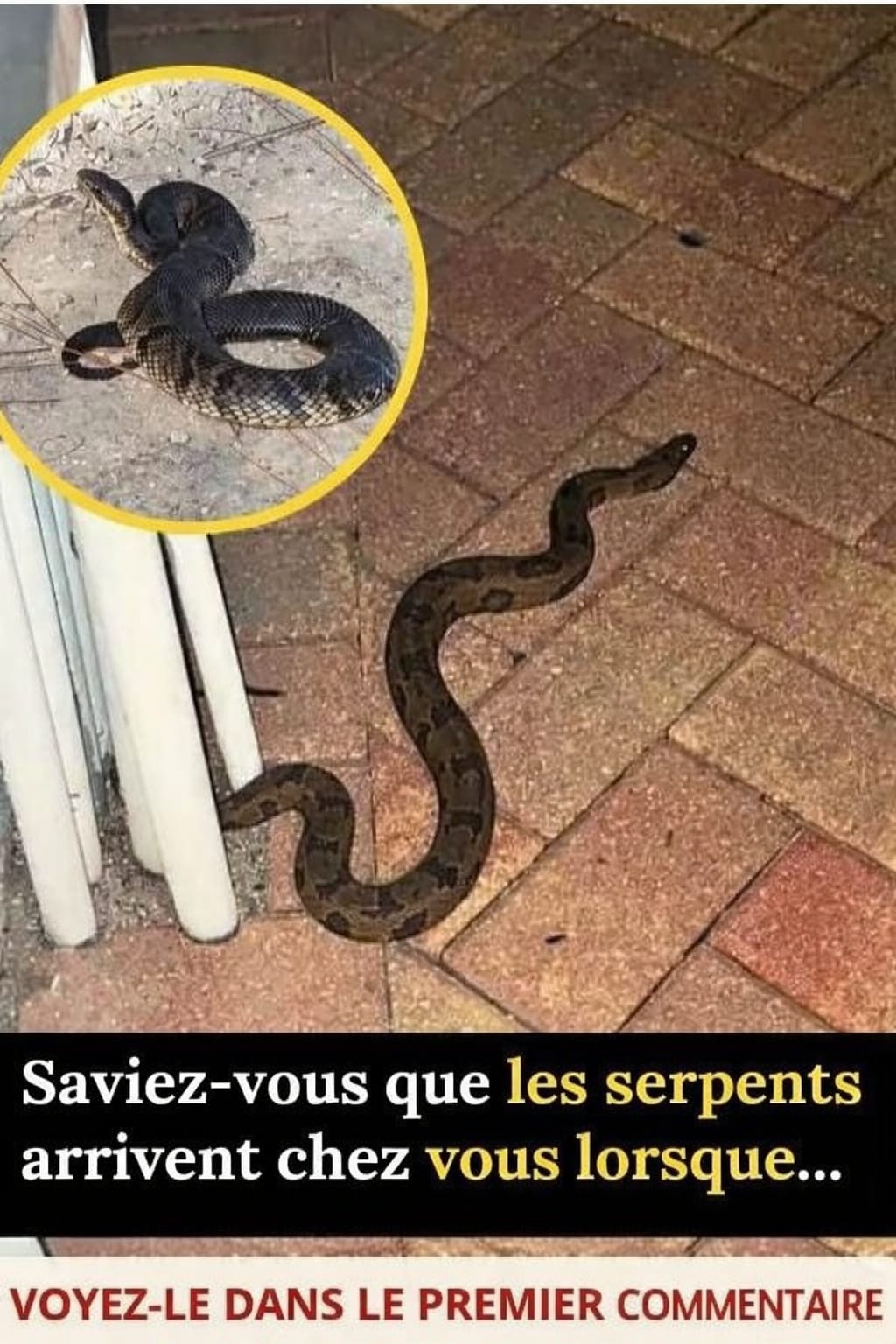 WhatsApp Image 2026 04 06 at 10.42.49 AM