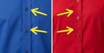 Beaucoup de gens portent des chemises tous les jours mais tout le monde ne sait pas pourquoi.jpg