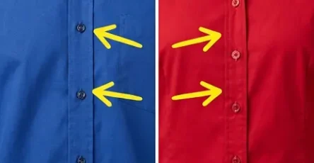 Beaucoup de gens portent des chemises tous les jours mais tout le monde ne sait pas pourquoi.jpg