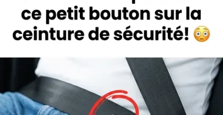 Ce petit bouton sur votre ceinture est bien plus utile que vous ne le pensez.jpg