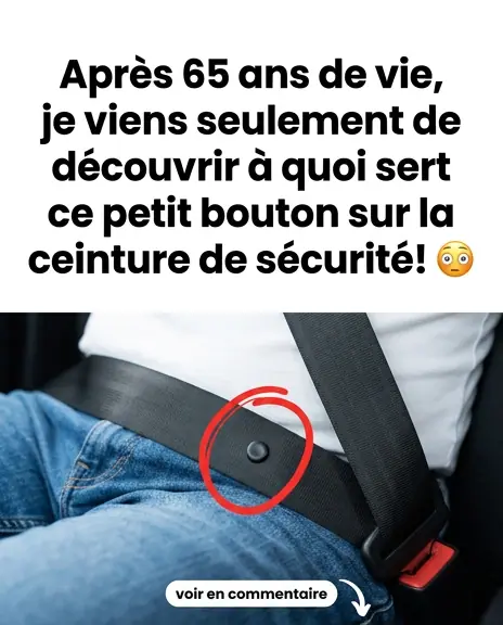 Ce petit bouton sur votre ceinture est bien plus utile que vous ne le pensez.jpg