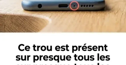 Ce trou est present dans presque tous les smartphones mais peu de gens savent a quoi il sert.jpg