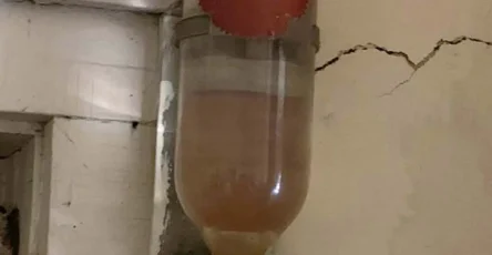 Cet objet ancien pourrait bien sauver des vies.jpg