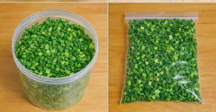 Conserver le persil et le garder frais pendant un an la methode des chefs 1.jpg