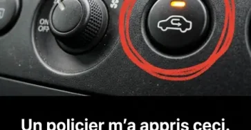 De nombreux conducteurs ne savent pas quand utiliser ce bouton.jpg