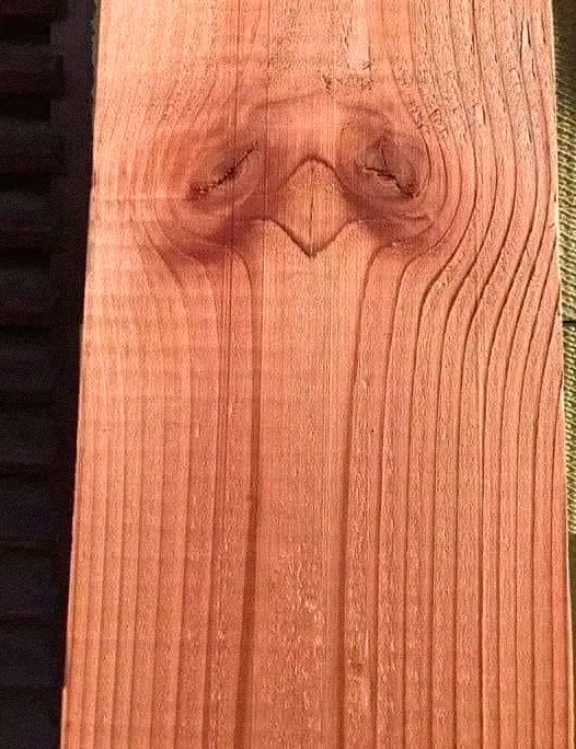 Dites moi ce que vous voyez et je vous revelerai votre personnalite cachee.jpg