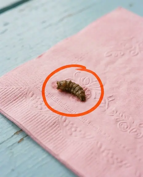 Je suis tombe sur ca dans la salle de bain de ma copine et je le fixe depuis une heure je nai toujours aucune idee de ce que cest cense etre.jpg