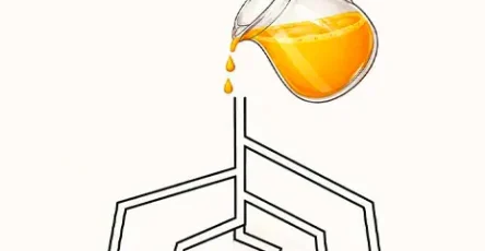 La coupe que vous pensez remplir en premier revele si vous etes narcissique.jpg