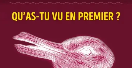 La premiere chose que tu vois sur cette image peut reveler ta maniere de penser.jpg