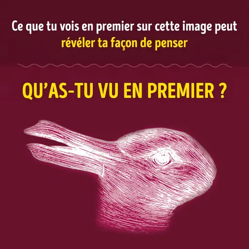 La premiere chose que tu vois sur cette image peut reveler ta maniere de penser.jpg