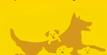 Le nombre de chiens que vous voyez determine votre age mental.jpg