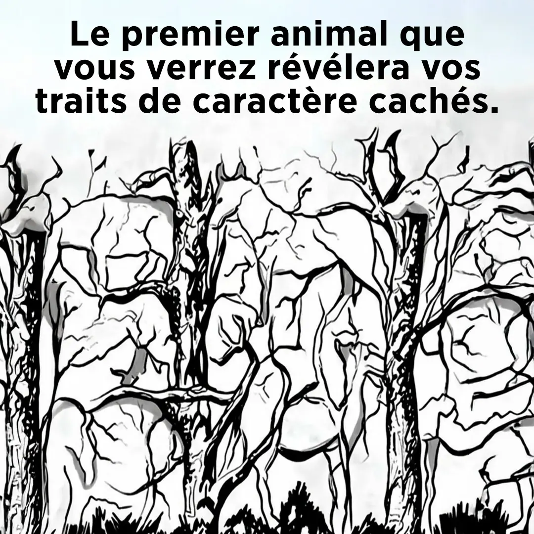 Le premier animal que vous voyez peut en dire long sur votre personnalite.jpeg