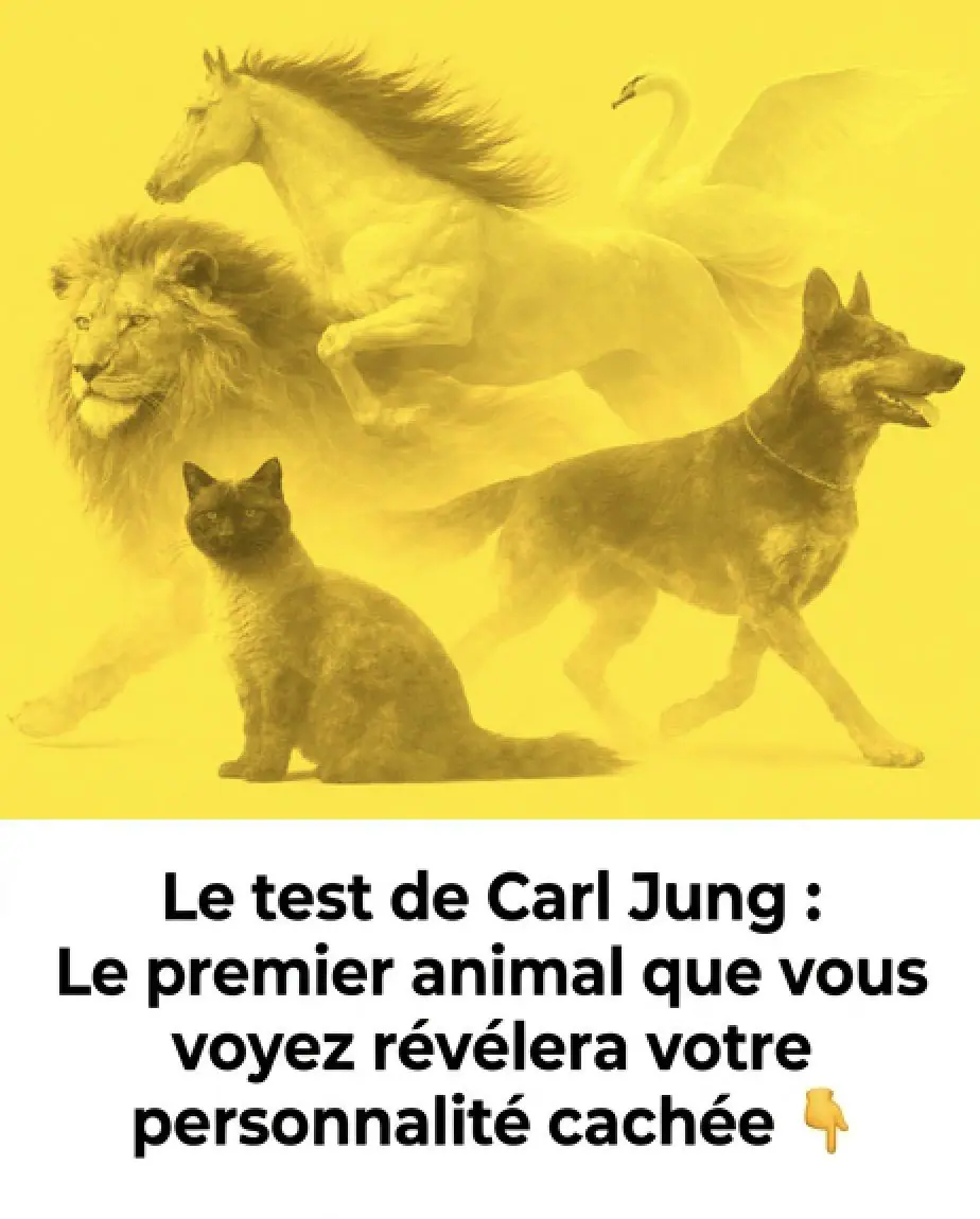 Le test de carl jung lanimal que vous voyez en premier revelera votre personnalite cachee.jpg