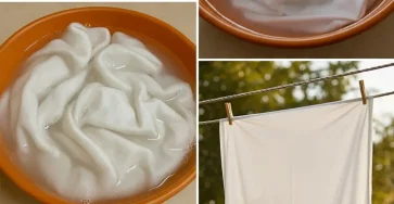 Le vinaigre le secret pour des serviettes plus douces des vetements plus blancs et un linge plus frais 2.jpg