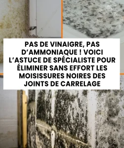 Ni vinaigre ni ammoniaque voici lastuce des experts pour eliminer sans effort les moisissures noires des joints de carrelage.jpg